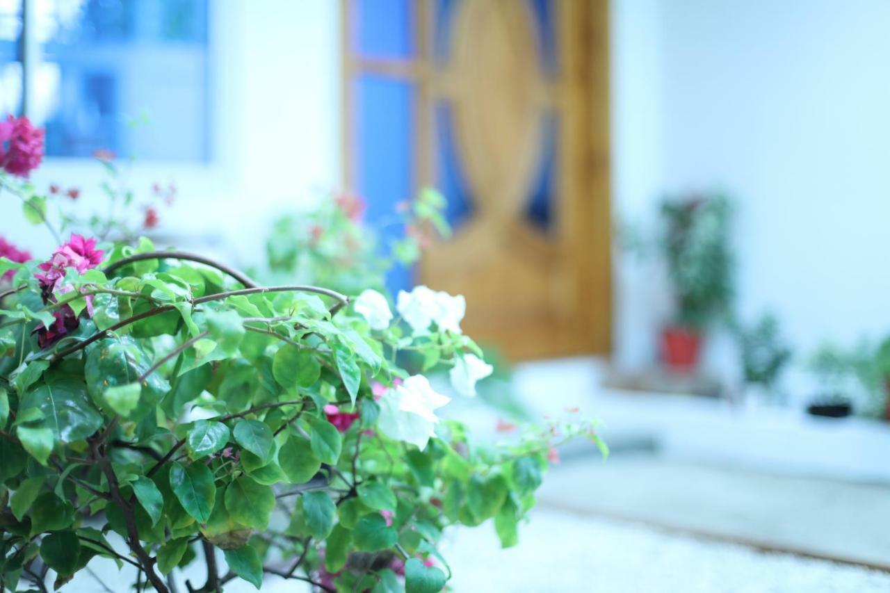 Moodhu Surf House Hotel Himmafushi Luaran gambar